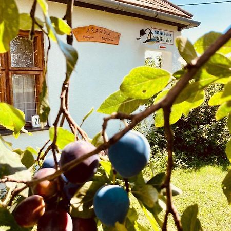 Ubytovanie U Aranky Cierna nad Tisou Zewnętrze zdjęcie